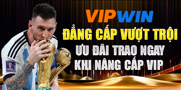 6623 galaxy gà chọi c1 gold city