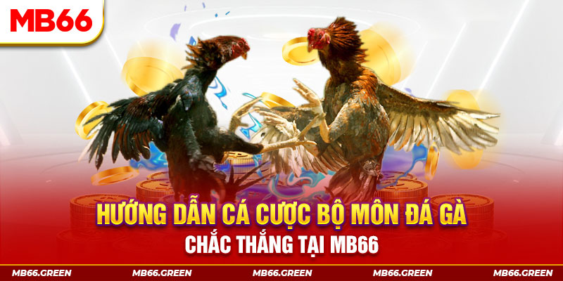 6623 galaxy CQ9 Điện Tử