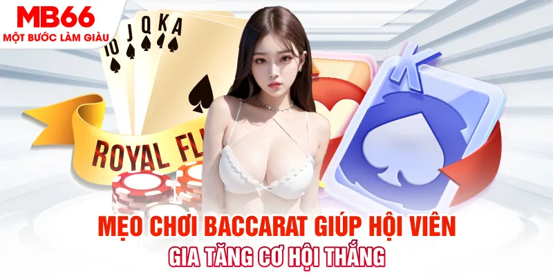6623 galaxy đá gà 88