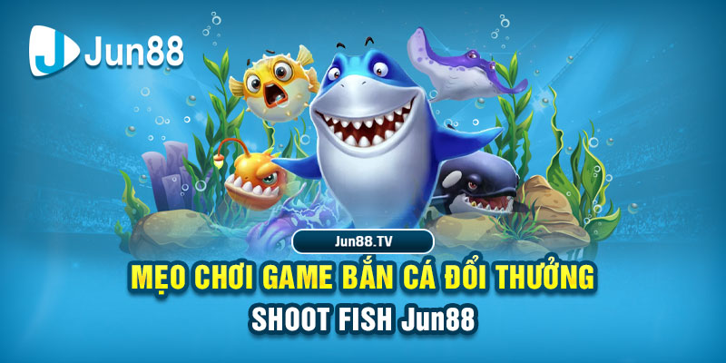 6623 galaxy tai game danh bai bigkool ve may tinh