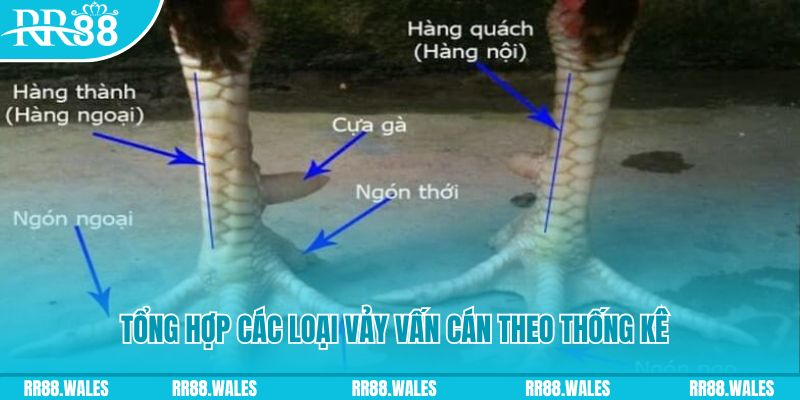 6623 galaxy nổ hũ chơi như thế nào
