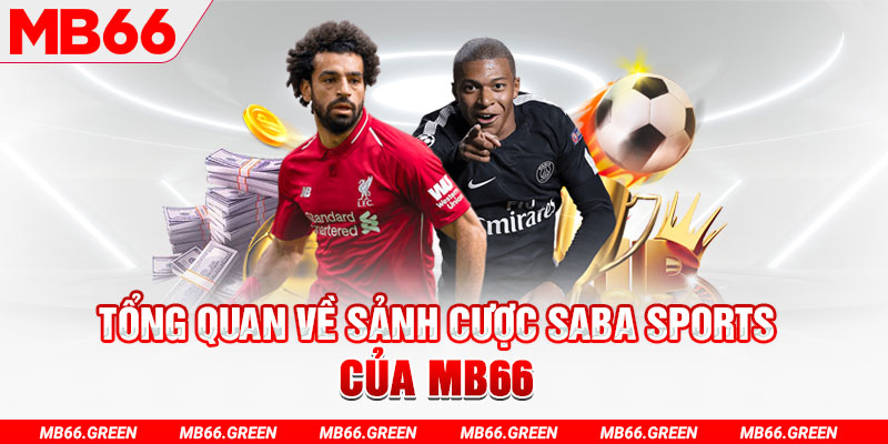 6623 galaxy slot có nghĩa là gì